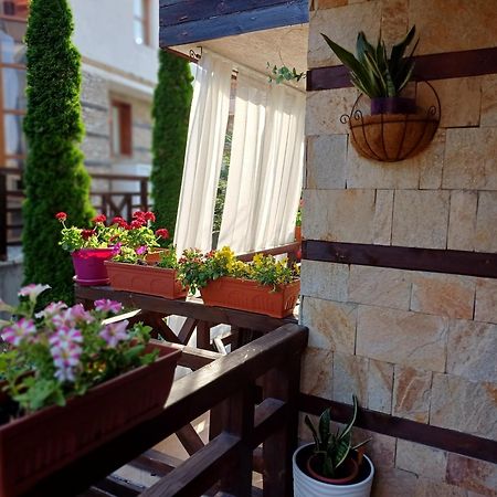 Mila Vip Apartment Bansko Exterior photo