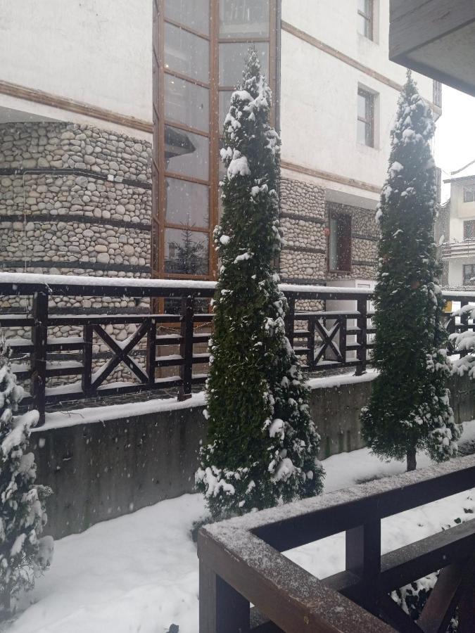 Mila Vip Apartment Bansko Exterior photo