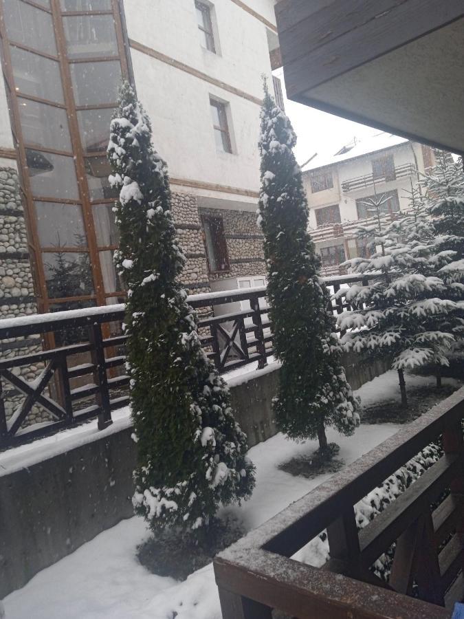 Mila Vip Apartment Bansko Exterior photo